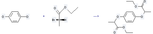 Propanoic acid, 2-bromo-, ethyl ester, (2S)- can be used to produce 2,2'-p-phenylenedioxy-di-propionic acid diethyl ester